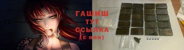 apvp Богородицк