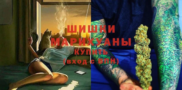 apvp Богородицк