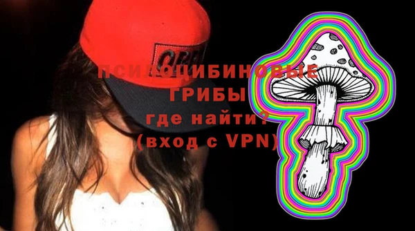 apvp Богородицк