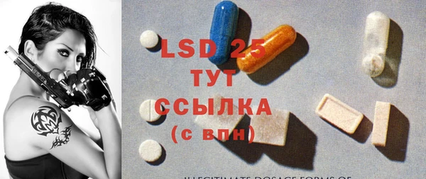 apvp Богородицк