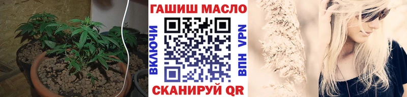 купить закладку Мончегорск omg tor Дистиллят ТГК гашишное масло