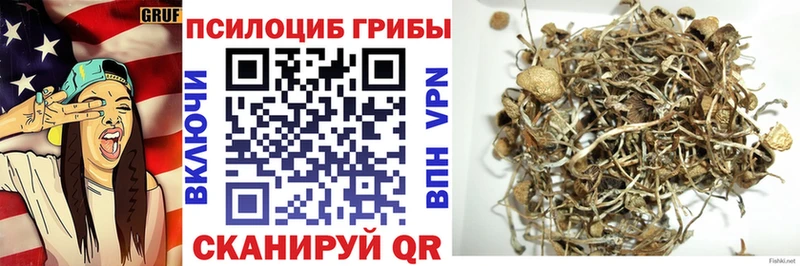 Галлюциногенные грибы Psilocybine cubensis  сколько стоит  Мончегорск 